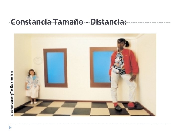 Constancia Tamaño - Distancia: Constancia Tamaño - Distancia: