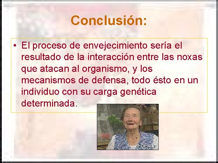 Conclusión: • El proceso de envejecimiento sería el resultado de la interacción entre las Conclusión: • El proceso de envejecimiento sería el resultado de la interacción entre las