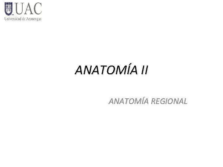 ANATOMÍA II ANATOMÍA REGIONAL 