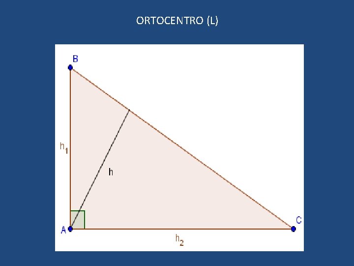 ORTOCENTRO (L) 