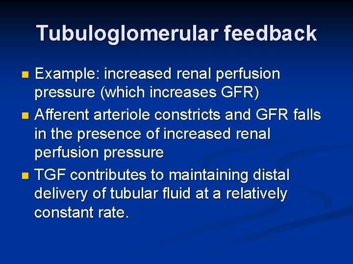 Tubuloglomerular feedback Example: increased renal perfusion pressure (which increases GFR) n Afferent arteriole constricts