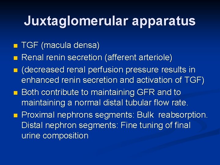 Juxtaglomerular apparatus n n n TGF (macula densa) Renal renin secretion (afferent arteriole) (decreased