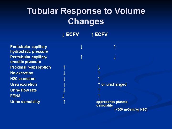 Tubular Response to Volume Changes ↓ ECFV Peritubular capillary hydrostatic pressure Peritubular capillary oncotic