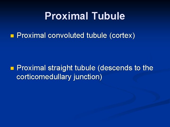 Proximal Tubule n Proximal convoluted tubule (cortex) n Proximal straight tubule (descends to the