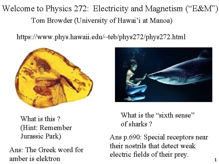 Welcome to Physics 272: Electricity and Magnetism (“E&M”) Tom Browder (University of Hawai’i at