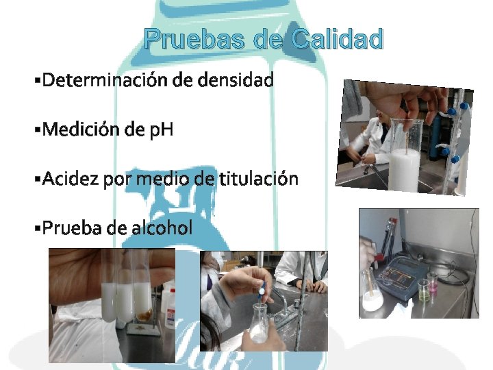 Pruebas de Calidad §Determinación de densidad §Medición de p. H §Acidez por medio de