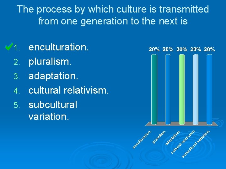 The process by which culture is transmitted from one generation to the next is