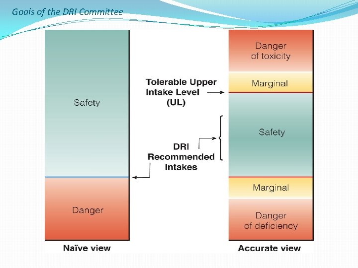 Goals of the DRI Committee 
