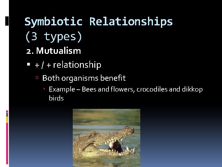 Symbiotic Relationships (3 types) 2. Mutualism + / + relationship Both organisms benefit Example