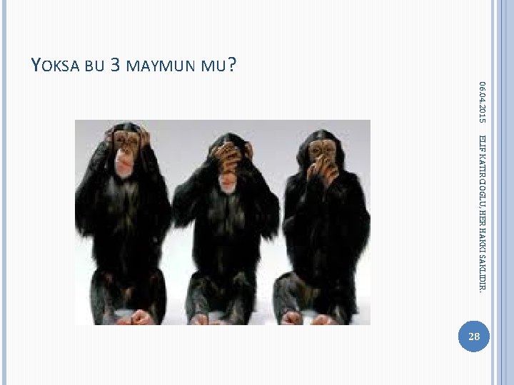 YOKSA BU 3 MAYMUN MU? 06. 04. 2015 ELIF KATIRCIOGLU, HER HAKKI SAKLIDIR. 28 YOKSA BU 3 MAYMUN MU? 06. 04. 2015 ELIF KATIRCIOGLU, HER HAKKI SAKLIDIR. 28