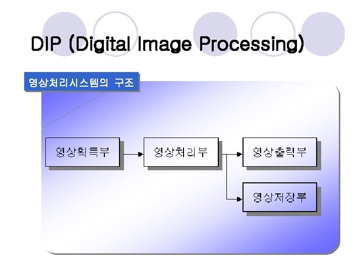 DIP (Digital Image Processing) 영상처리시스템의 구조 