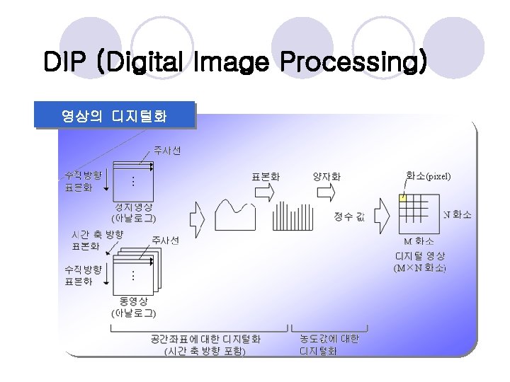 DIP (Digital Image Processing) 영상의 디지털화 