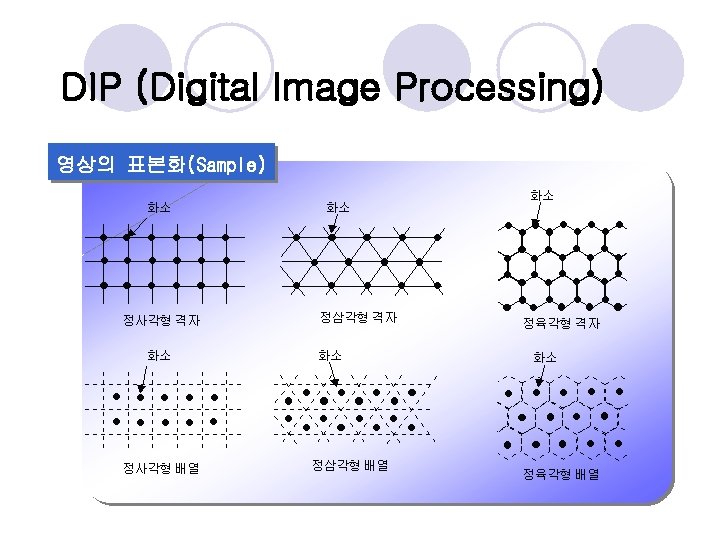 DIP (Digital Image Processing) 영상의 표본화(Sample) 