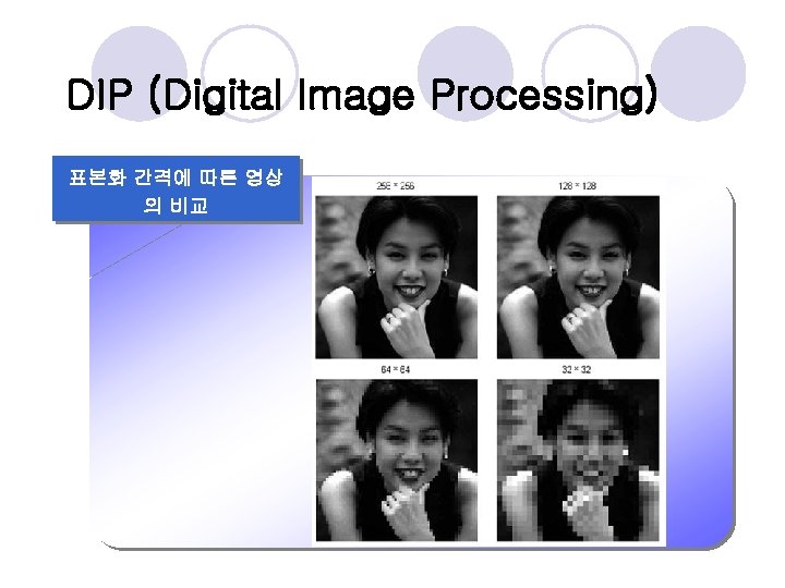 DIP (Digital Image Processing) 표본화 간격에 따른 영상 의 비교 