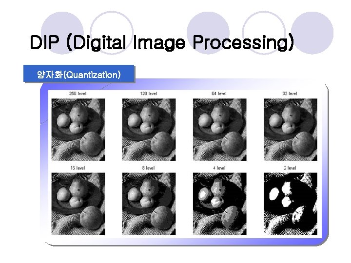 DIP (Digital Image Processing) 양자화(Quantization) 