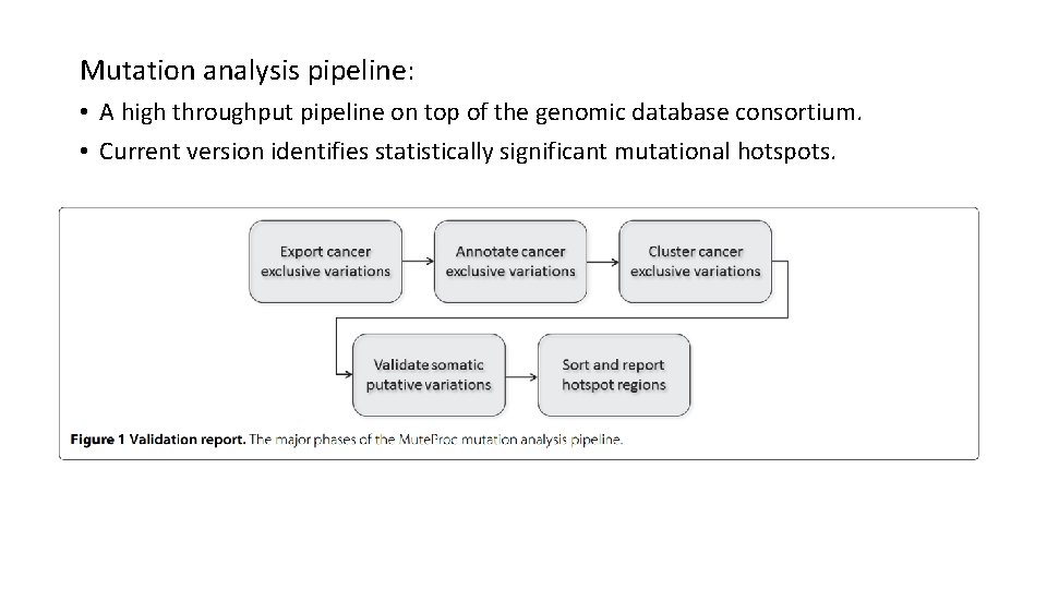 Mutation analysis pipeline: • A high throughput pipeline on top of the genomic database