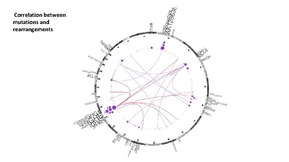 Correlation between mutations and rearrangements 