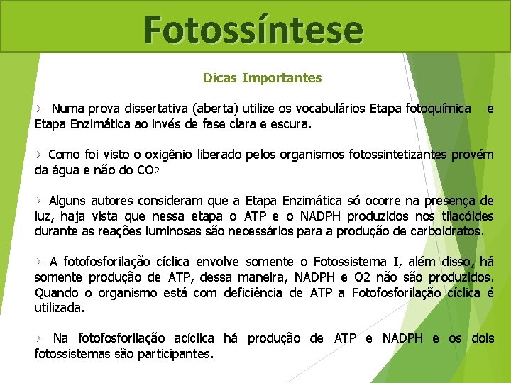 Fotossíntese Dicas Importantes Numa prova dissertativa (aberta) utilize os vocabulários Etapa fotoquímica Etapa Enzimática