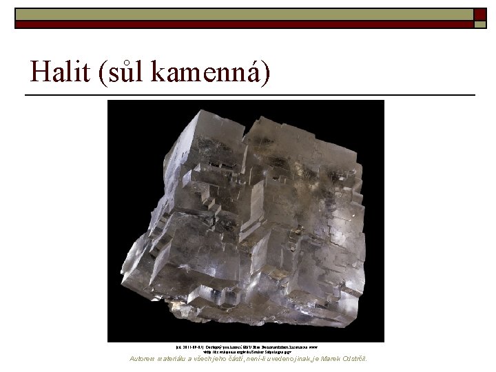 Halit (sůl kamenná) [cit. 2011 -09 -07]. Dostupný pod licencí GNU Free Documentation Licence