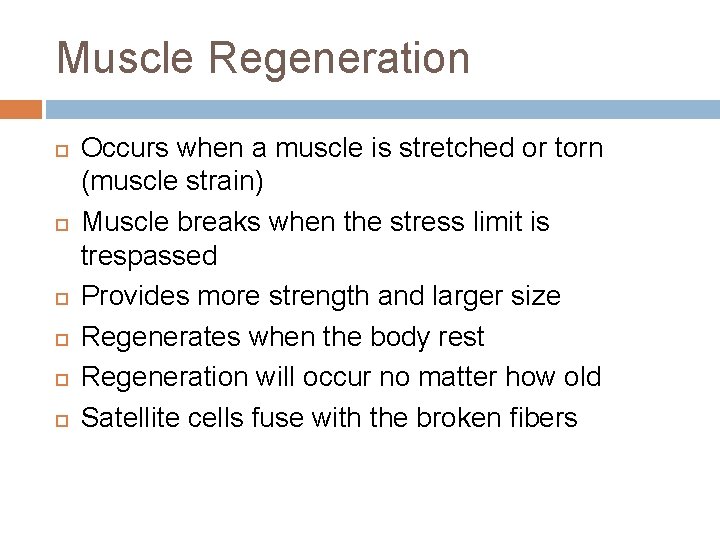 Muscle Regeneration Occurs when a muscle is stretched or torn (muscle strain) Muscle breaks Muscle Regeneration Occurs when a muscle is stretched or torn (muscle strain) Muscle breaks