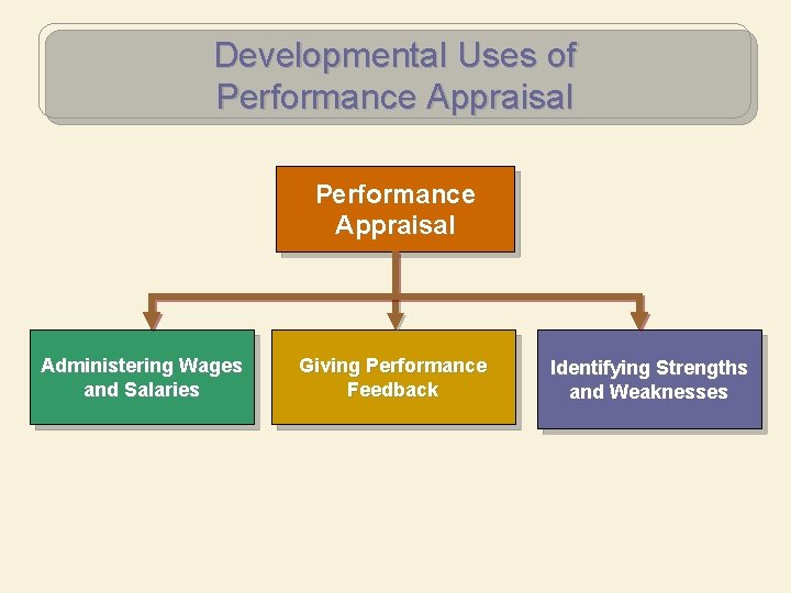 Developmental Uses of Performance Appraisal Administering Wages and Salaries Giving Performance Feedback Identifying Strengths