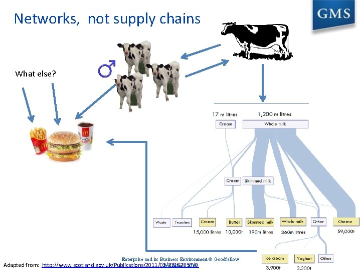 Networks, not supply chains What else? Enterprise and its Business Environment © Goodfellow Adapted