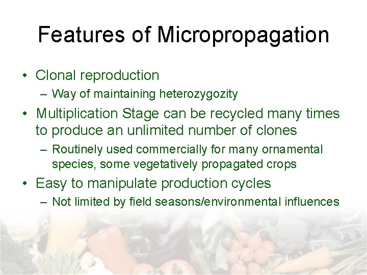 Features of Micropropagation • Clonal reproduction – Way of maintaining heterozygozity • Multiplication Stage