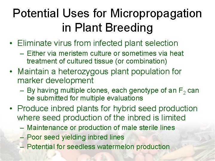 Potential Uses for Micropropagation in Plant Breeding • Eliminate virus from infected plant selection