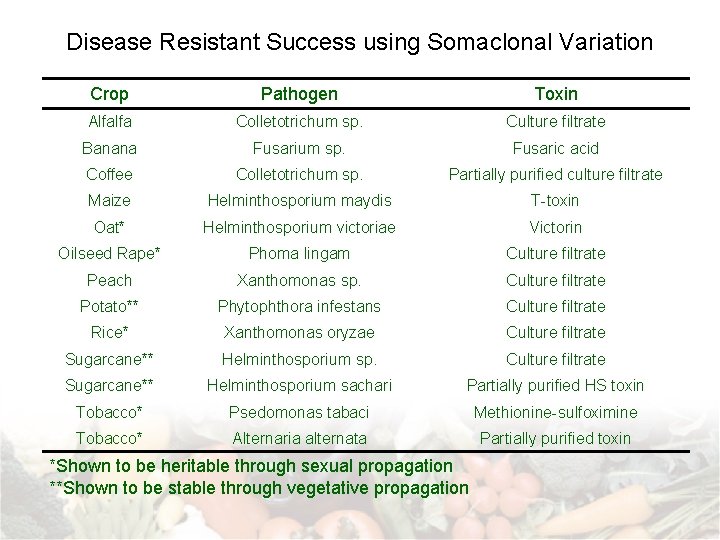 Disease Resistant Success using Somaclonal Variation Crop Pathogen Toxin Alfalfa Colletotrichum sp. Culture filtrate