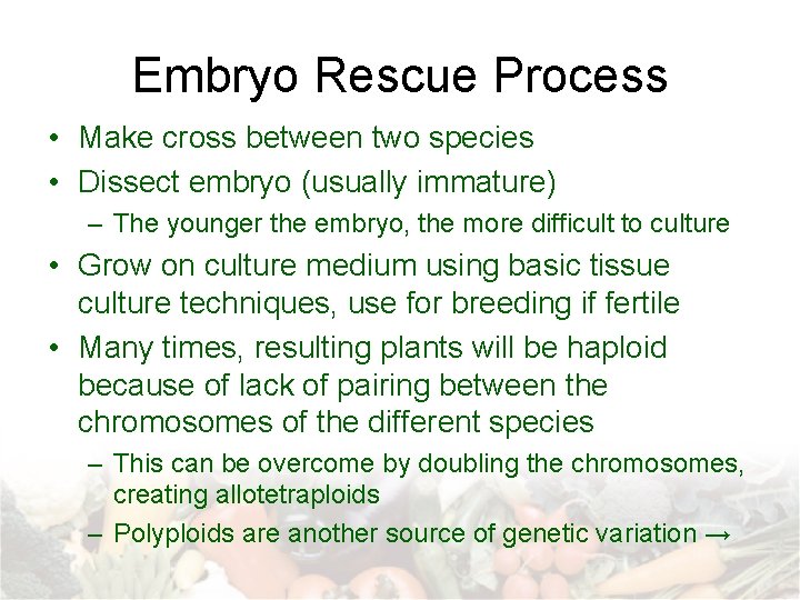 Embryo Rescue Process • Make cross between two species • Dissect embryo (usually immature) Embryo Rescue Process • Make cross between two species • Dissect embryo (usually immature)