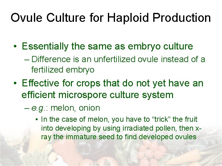 Ovule Culture for Haploid Production • Essentially the same as embryo culture – Difference