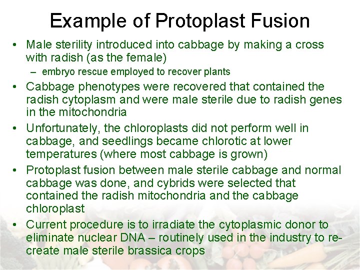 Example of Protoplast Fusion • Male sterility introduced into cabbage by making a cross