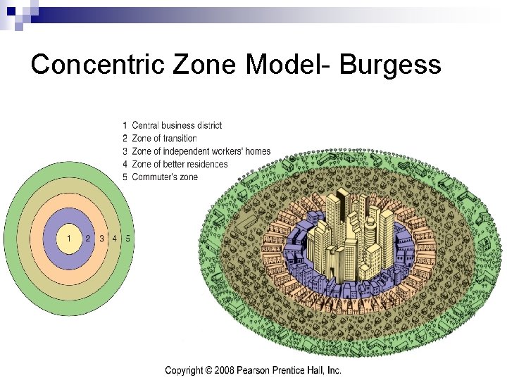 Concentric Zone Model- Burgess 