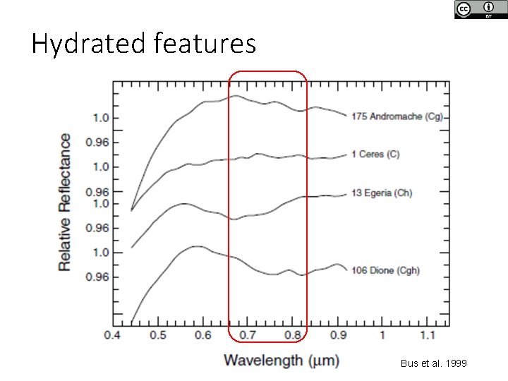 Hydrated features Bus et al. 1999 Hydrated features Bus et al. 1999