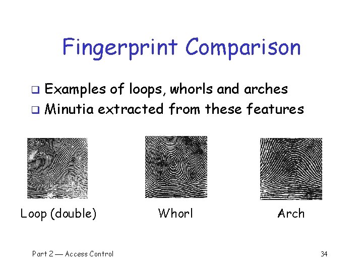 Fingerprint Comparison Examples of loops, whorls and arches q Minutia extracted from these features