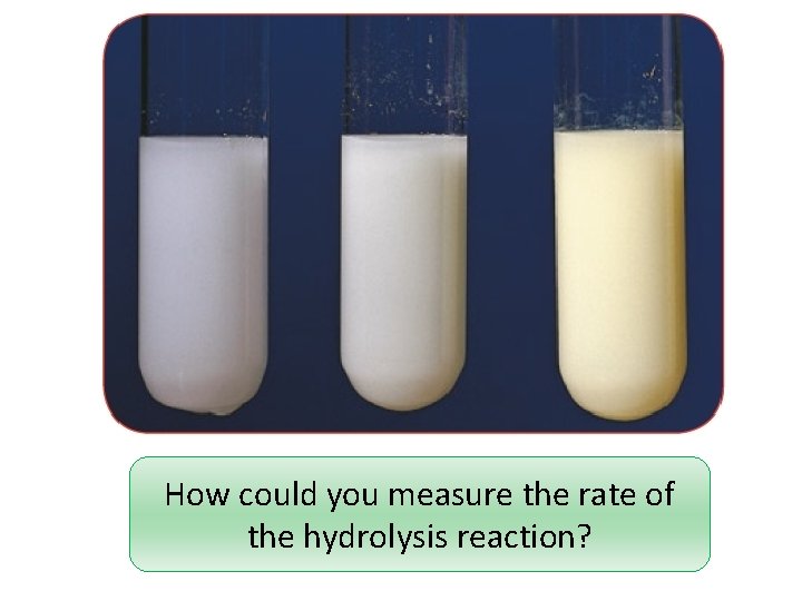 How could you measure the rate of the hydrolysis reaction? 