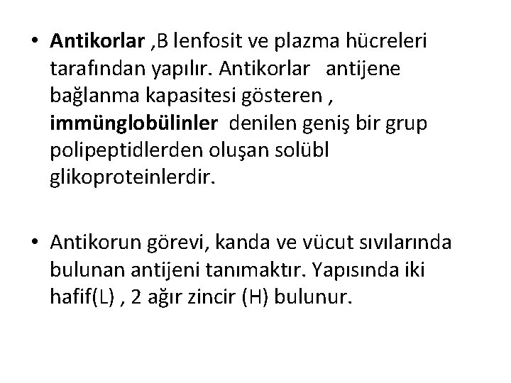  • Antikorlar , B lenfosit ve plazma hücreleri tarafından yapılır. Antikorlar antijene bağlanma