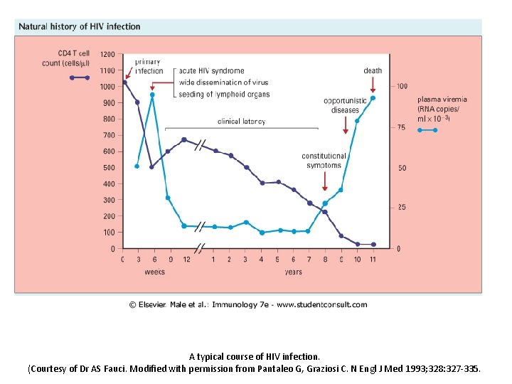 A typical course of HIV infection. (Courtesy of Dr AS Fauci. Modified with permission