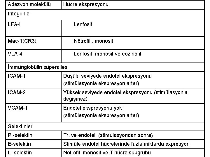 Adezyon molekülü Hücre ekspresyonu İntegrinler LFA-I Lenfosit Mac-1(CR 3) Nötrofil , monosit VLA-4 Lenfosit,