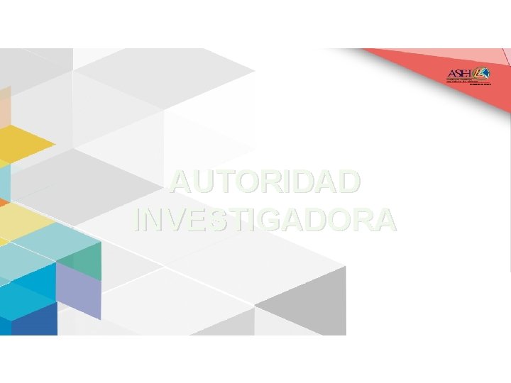 AUTORIDAD INVESTIGADORA 