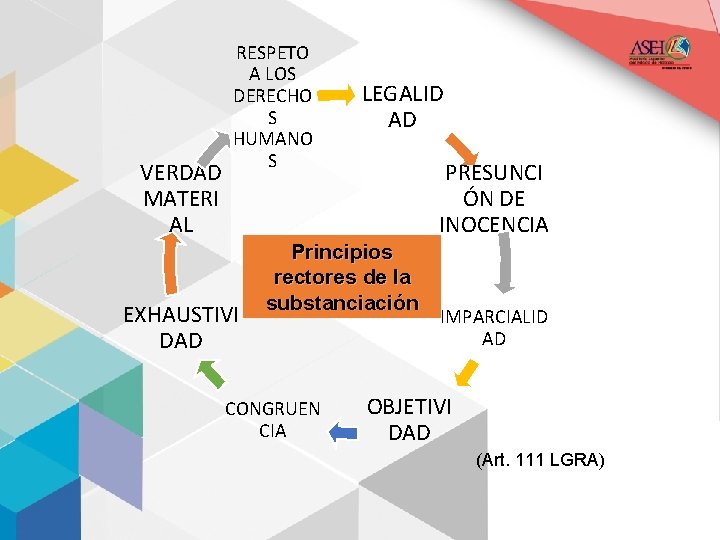 VERDAD MATERI AL RESPETO A LOS DERECHO S HUMANO S EXHAUSTIVI DAD LEGALID AD