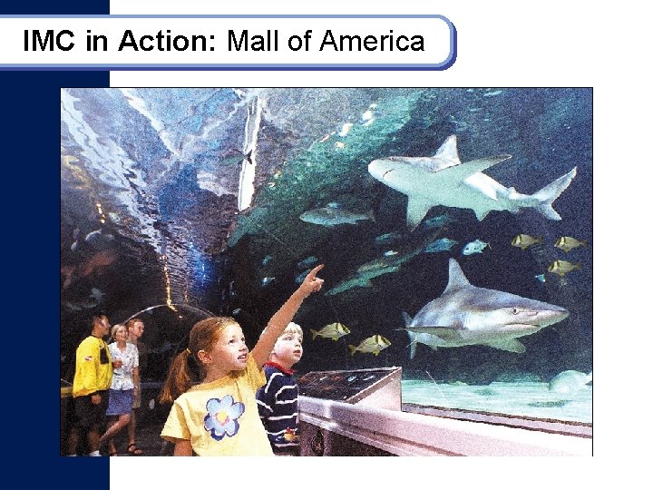 IMC in Action: Mall of America 