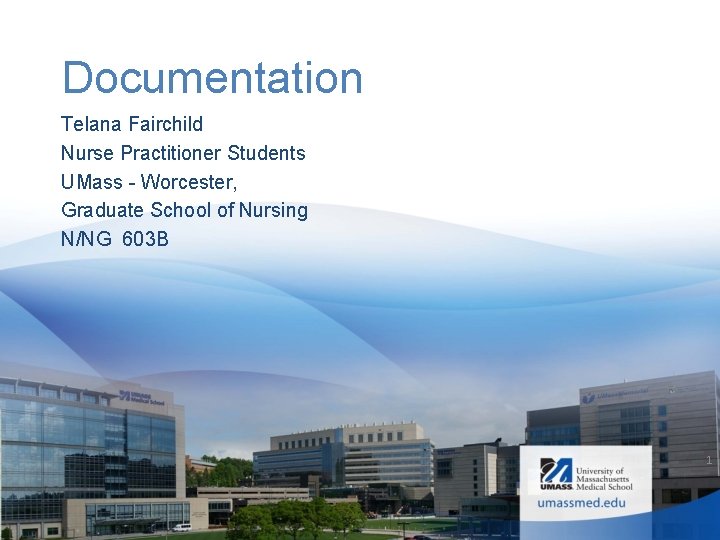 Documentation Telana Fairchild Nurse Practitioner Students UMass - Worcester, Graduate School of Nursing N/NG