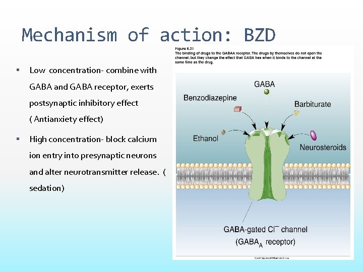 Mechanism of action: BZD Low concentration- combine with GABA and GABA receptor, exerts postsynaptic