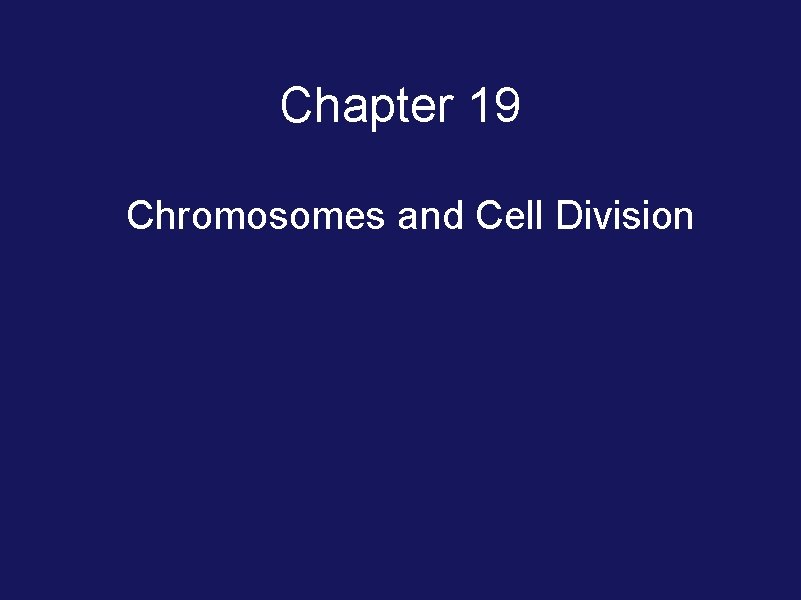 Chapter 19 Chromosomes and Cell Division 