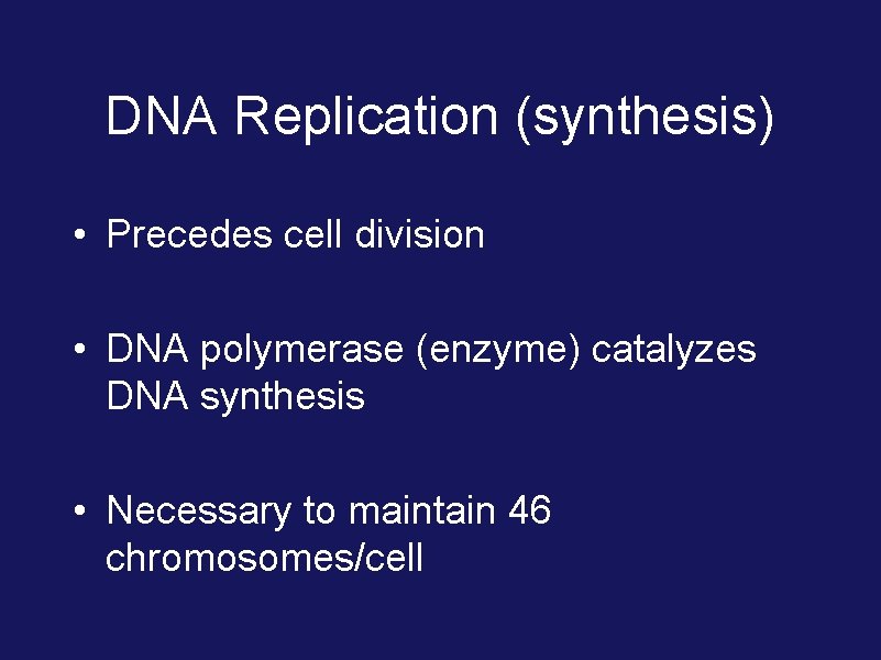 DNA Replication (synthesis) • Precedes cell division • DNA polymerase (enzyme) catalyzes DNA synthesis