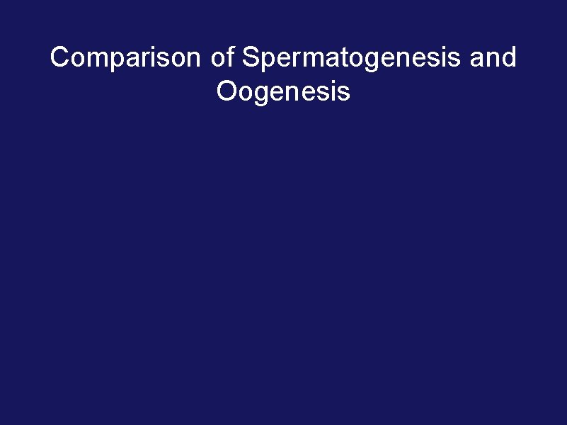 Comparison of Spermatogenesis and Oogenesis 