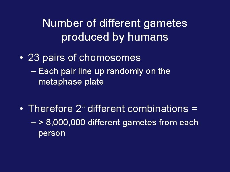 Number of different gametes produced by humans • 23 pairs of chomosomes – Each