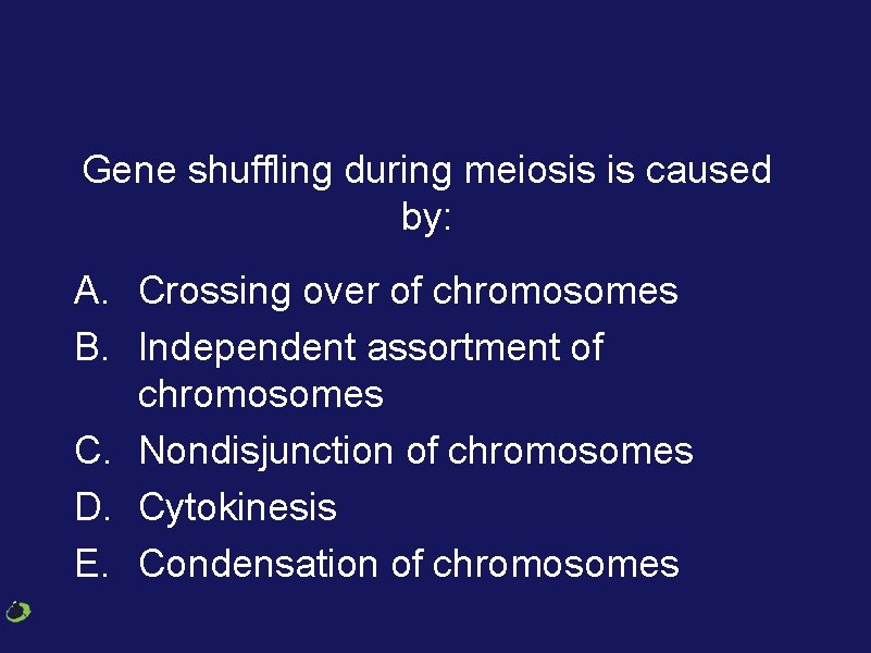 Gene shuffling during meiosis is caused by: A. Crossing over of chromosomes B. Independent