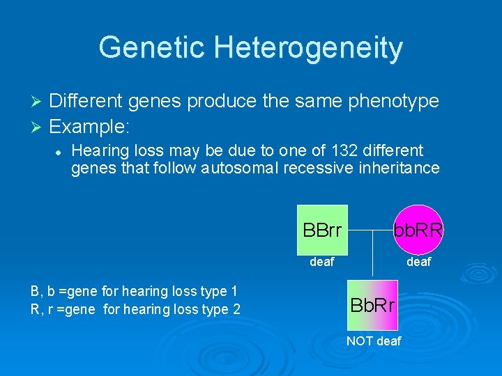 Genetic Heterogeneity Different genes produce the same phenotype Ø Example: Ø l Hearing loss